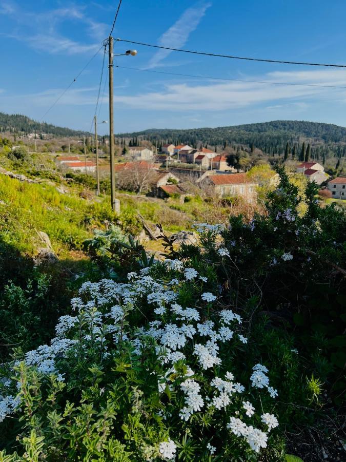 Country House Bakicevo Villa Čilipi Esterno foto